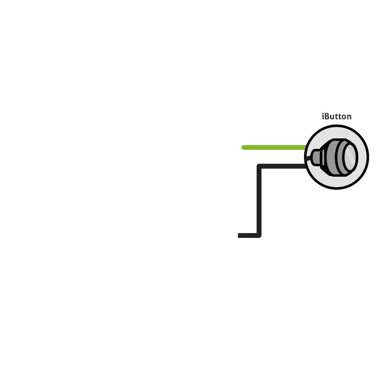 iButton